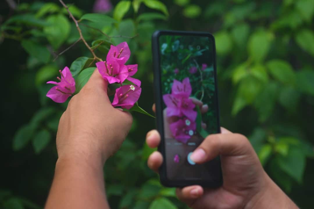 Cultive um jardim digital na tela do seu celular hoje